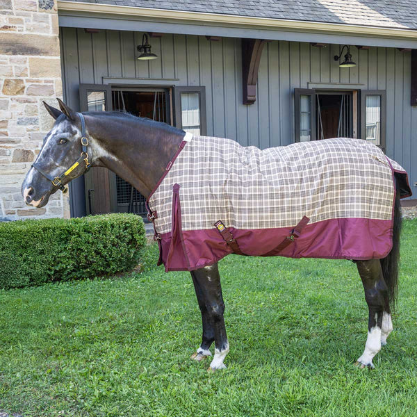 5/A Baker Black Label 200gm Turnout Blanket - Burgundy